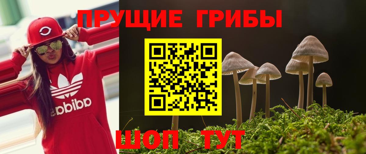 Псилоцибиновые грибы Magic Shrooms  Вход с VPN  Чебоксары 